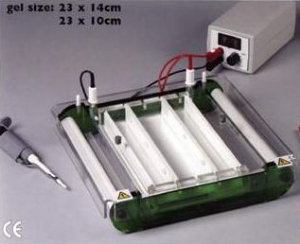 水平电泳仪 Wide Format