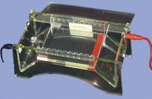 水平电泳槽 JS-360A