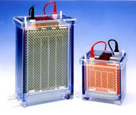 电泳印迹系统 EBU系列