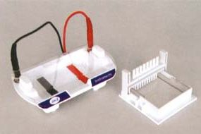 超小型水平电泳槽 HM—Ⅱ