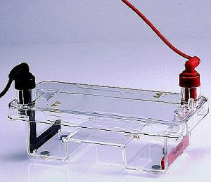 迷你水平电泳槽 1011000