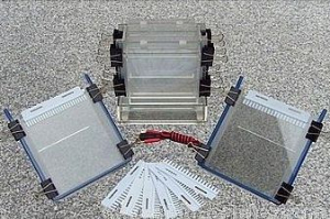 双垂直电泳槽 XH-CZ08