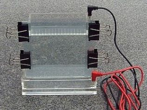 垂直电泳槽 CC-C