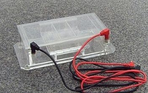 水平电泳槽 SC-D