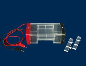 琼脂糖水平电泳槽 RDY-SP3