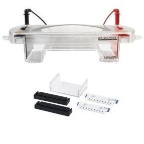 Enduro水平电泳系统 E1020