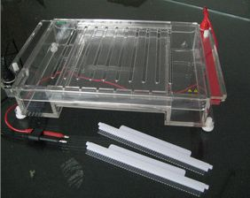 高通量水平电泳槽 HT-SUB04