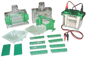 小型垂直电泳槽 LF-MINI3