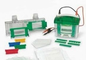 小型垂直蛋白电泳槽 Mini–PROTEAN 3