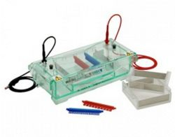 三变胶水平电泳 TVG-SYS