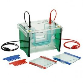 双板你垂直电泳 TV100