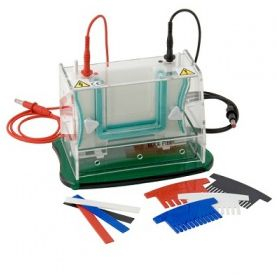 单板迷你垂直电泳 TV50