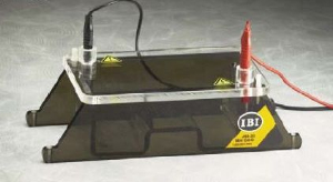 Mini Gel-O潜水电泳系统 JSB-30