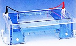 高效率冷却式水平电泳槽 HGE Systems