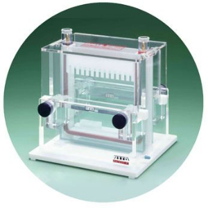 中型垂直电泳槽 AE-6220