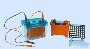 迷你转印电泳仪 DYCZ-40D