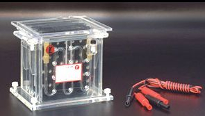 转印电泳仪 DYCZ-40A