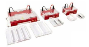 水平电泳槽 Compact XL