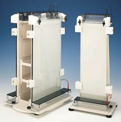 垂直微型电泳槽 C.B.S.Scientific