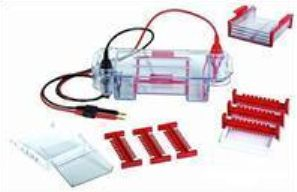 小号水平电泳槽 HE-90