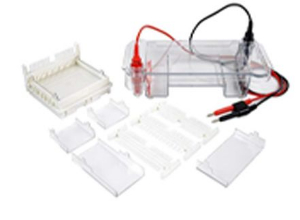 水平核酸电泳槽 DYC-SUB2