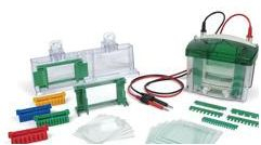 小型电泳槽 MINI PROTEAN