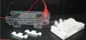 迷你琼脂糖水平电泳槽 HT-Sub01