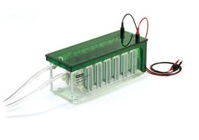 小型高通量电泳槽 biorad MP3 Dodeca