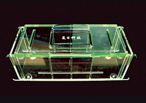 多层电泳槽 FR-180D