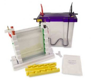 大型垂直电泳槽 VS20WAVESYS