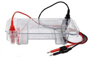 水平电泳槽 Hini100