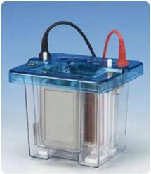 双(胶)制冷系统电泳槽 E-DCX