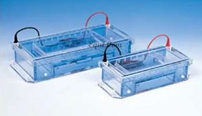 潜水式/水平电泳槽 E-SGU