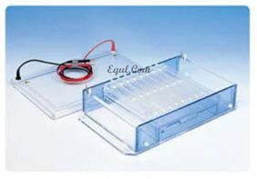 高通量水平电泳 E-SGU