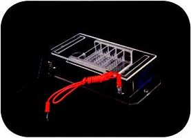 微型水平电泳槽 DY-31