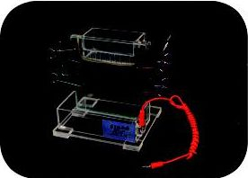 电泳槽(单垂直) DY-23