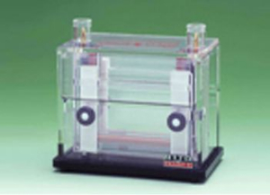 小型垂直电泳槽 AE-6500