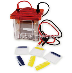 迷你双垂直电泳槽 SQ-188