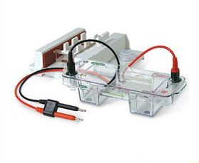 Bio-Rad伯乐水平 Sub-Cell GT水平电泳槽