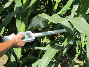 植物冠层测量仪 HM-G10